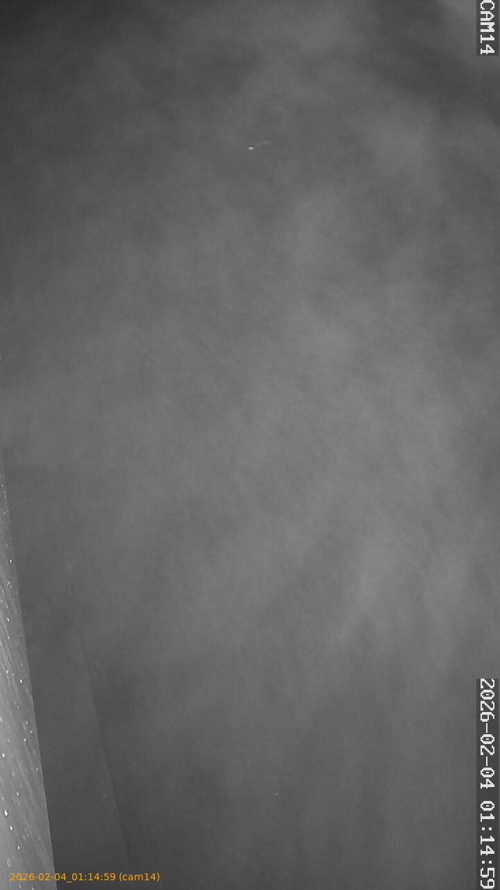 thumbnail_202602040114