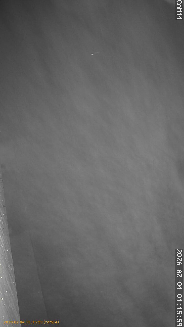 thumbnail_202602040115