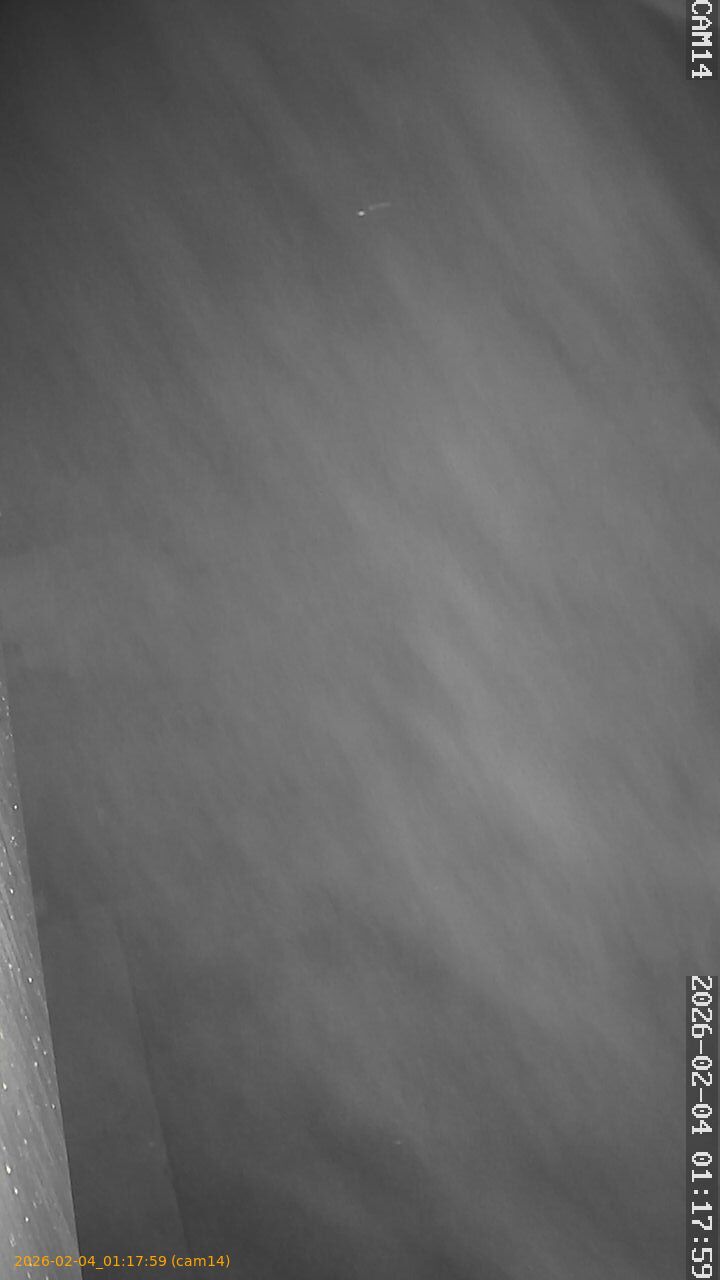 thumbnail_202602040117