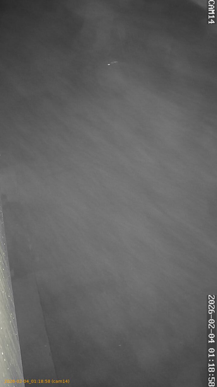 thumbnail_202602040118