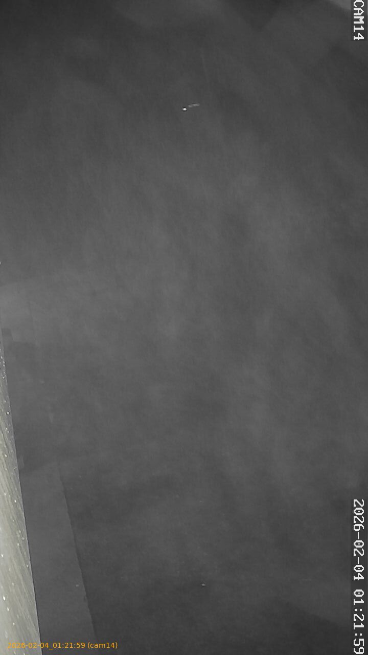 thumbnail_202602040121