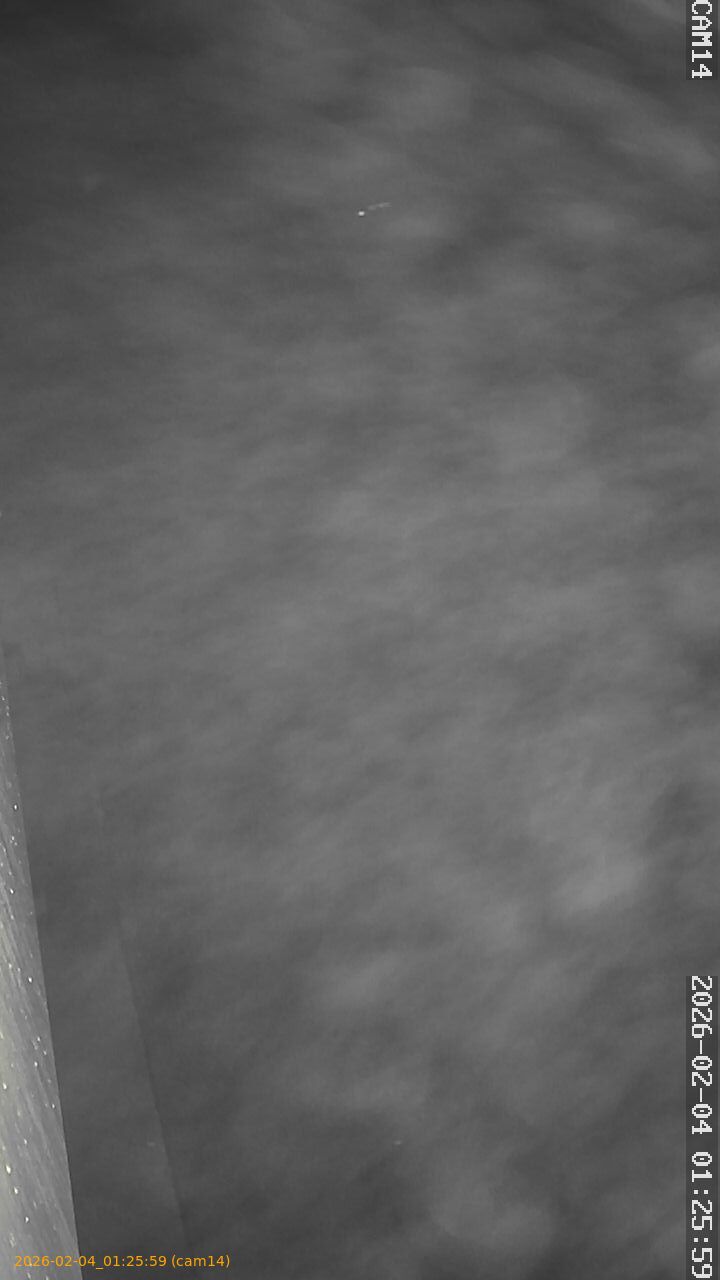 thumbnail_202602040125