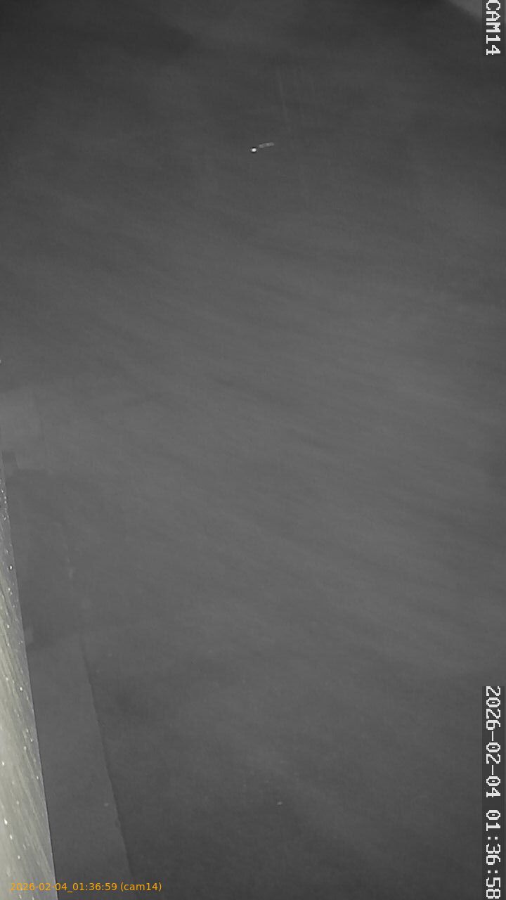 thumbnail_202602040136