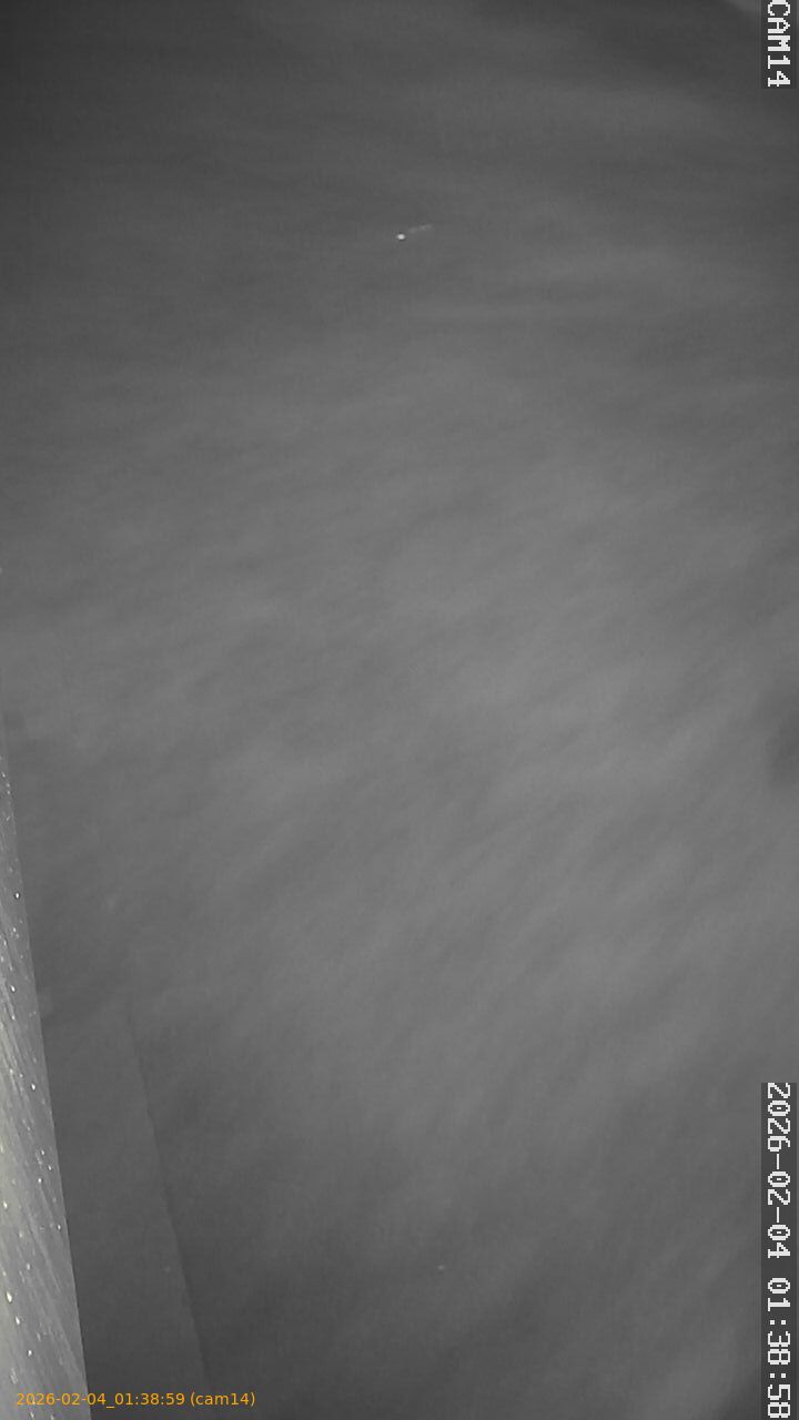 thumbnail_202602040138