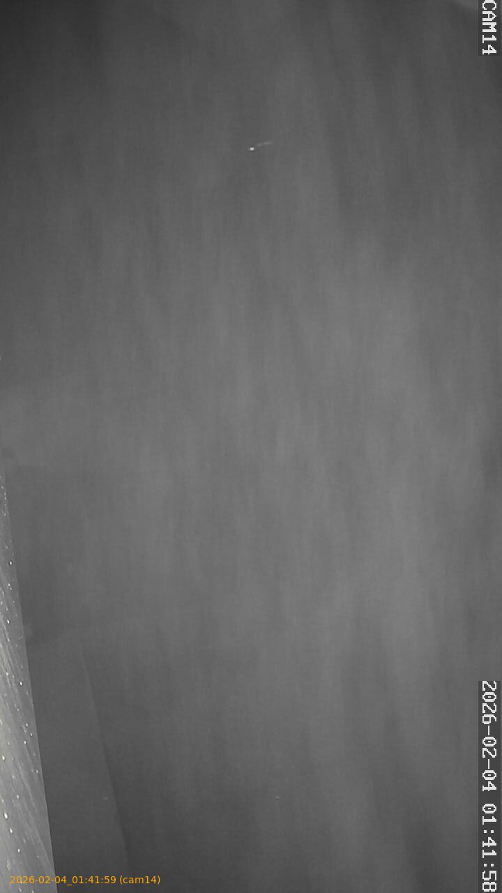 thumbnail_202602040141