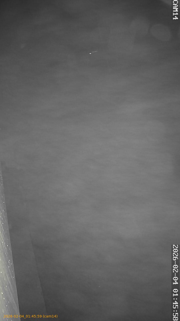 thumbnail_202602040145