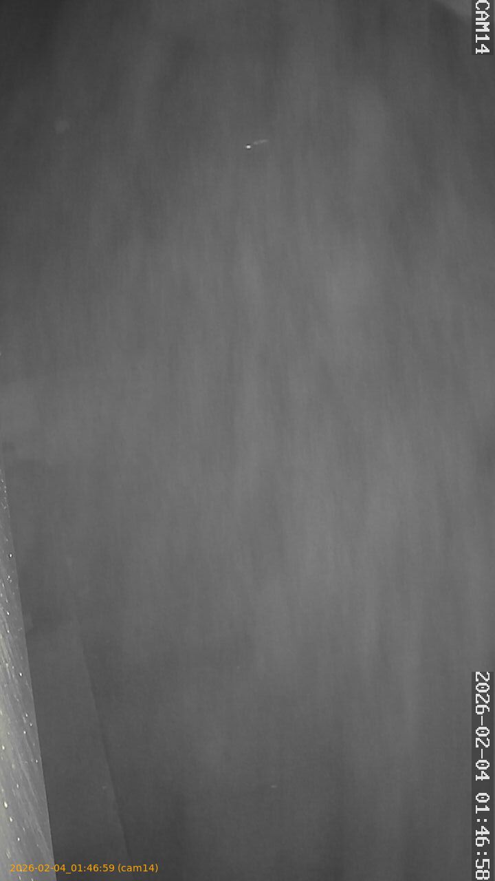 thumbnail_202602040146