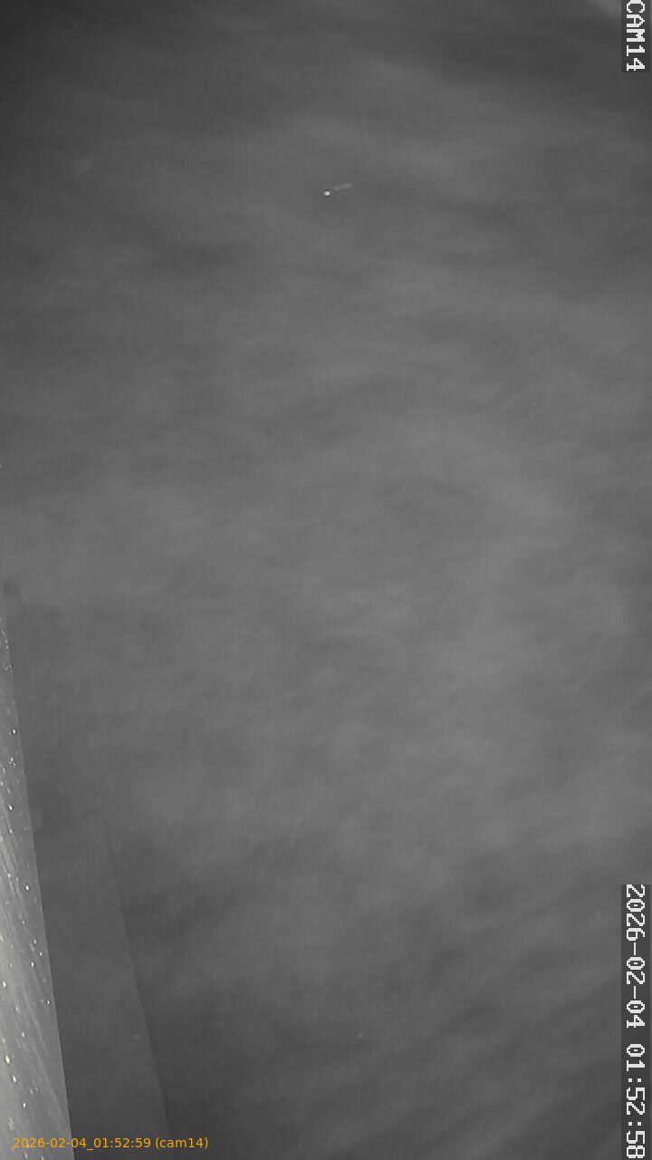 thumbnail_202602040152