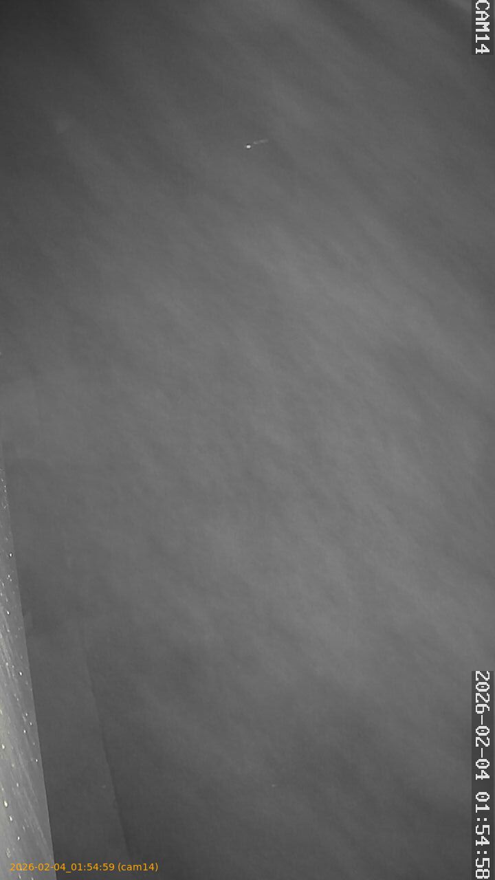 thumbnail_202602040154