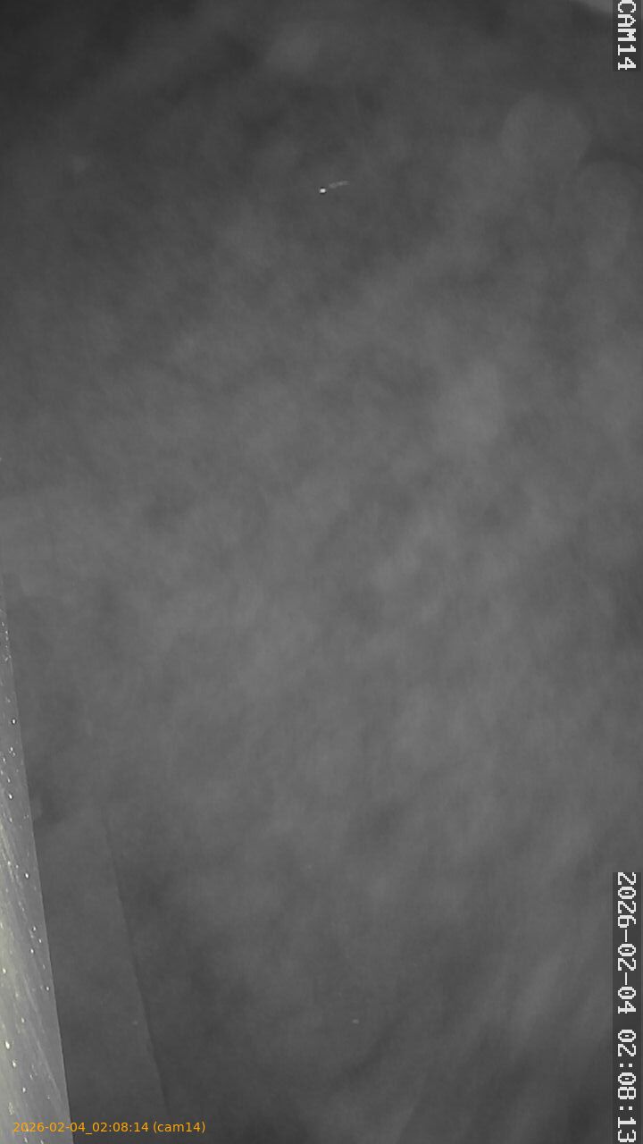 thumbnail_20260204020814