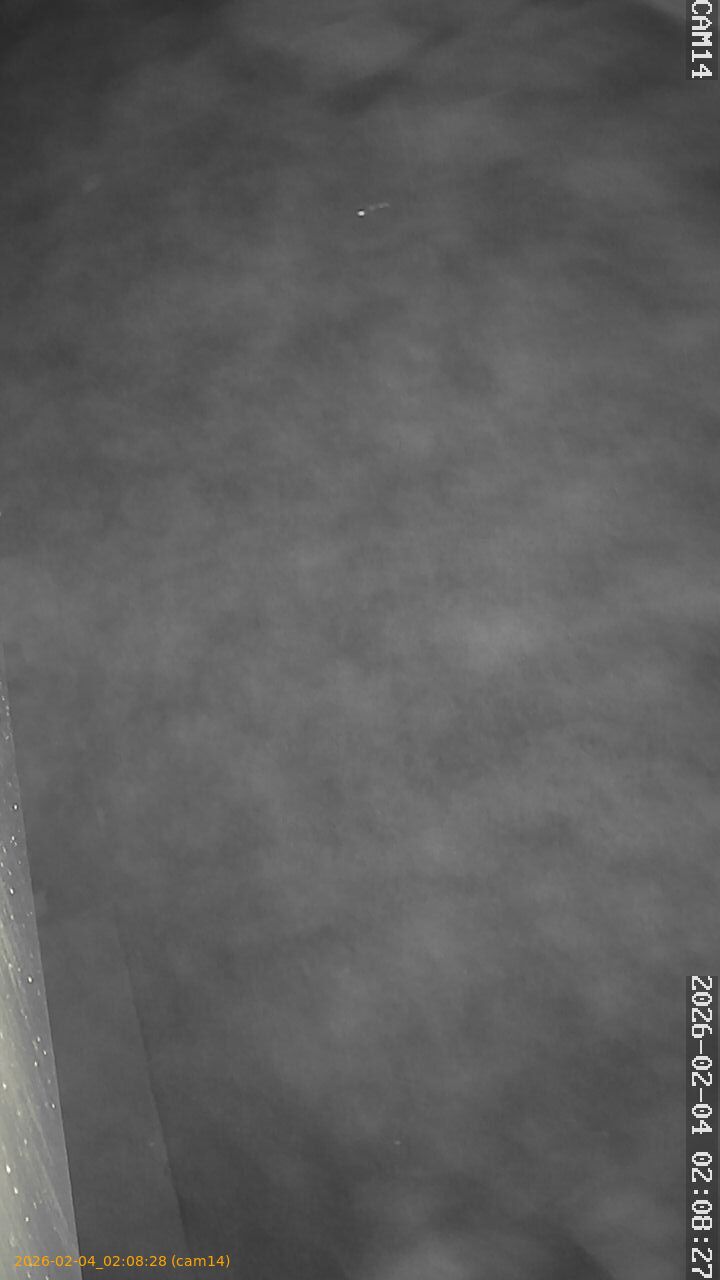 thumbnail_20260204020828