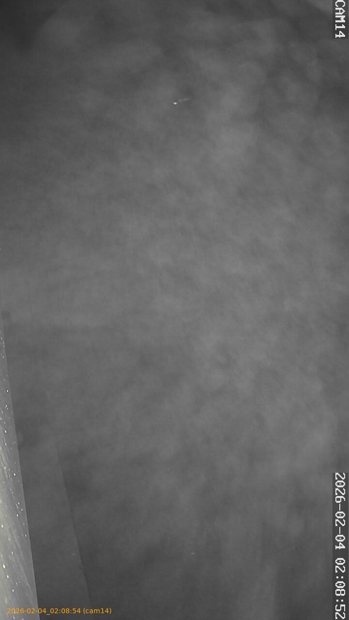 thumbnail_20260204020854