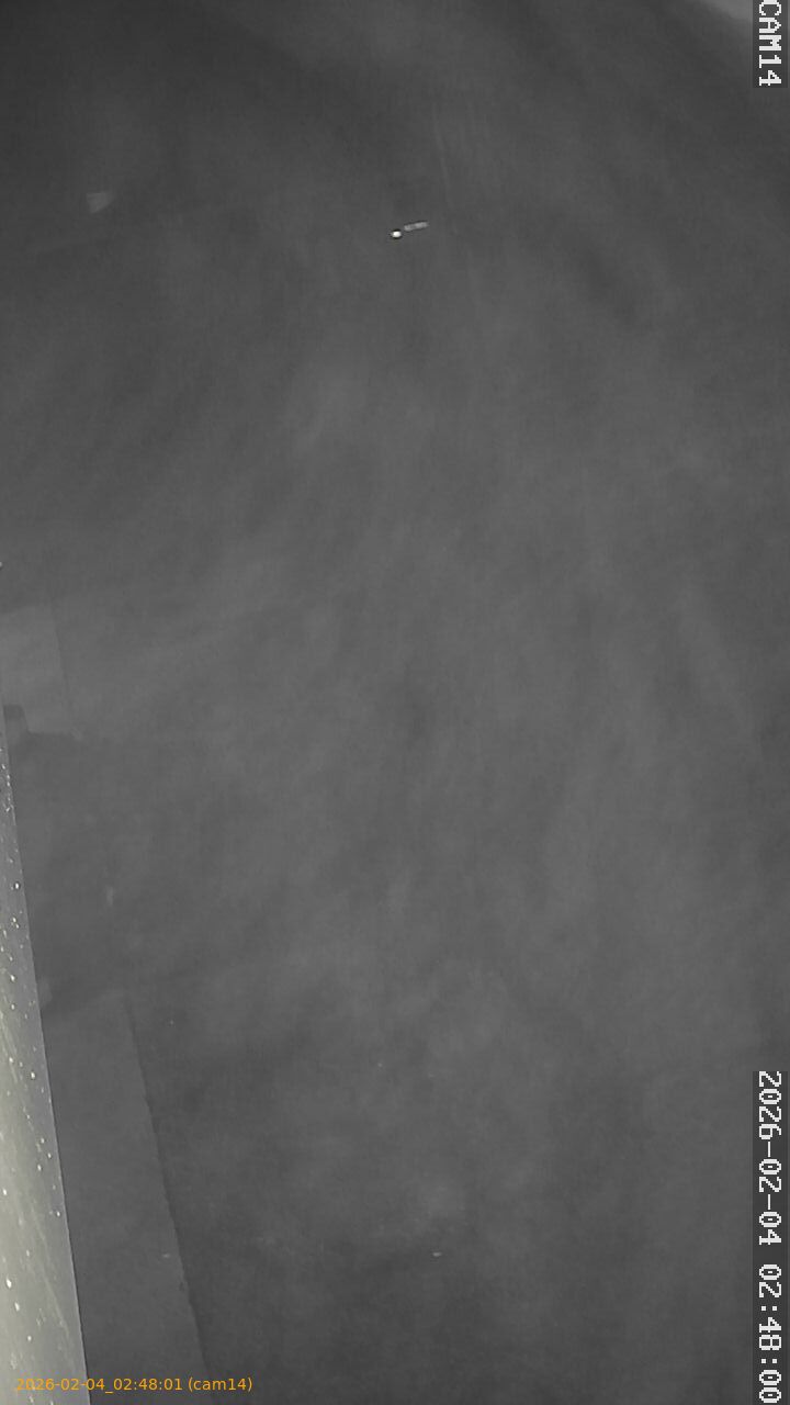 thumbnail_20260204024801