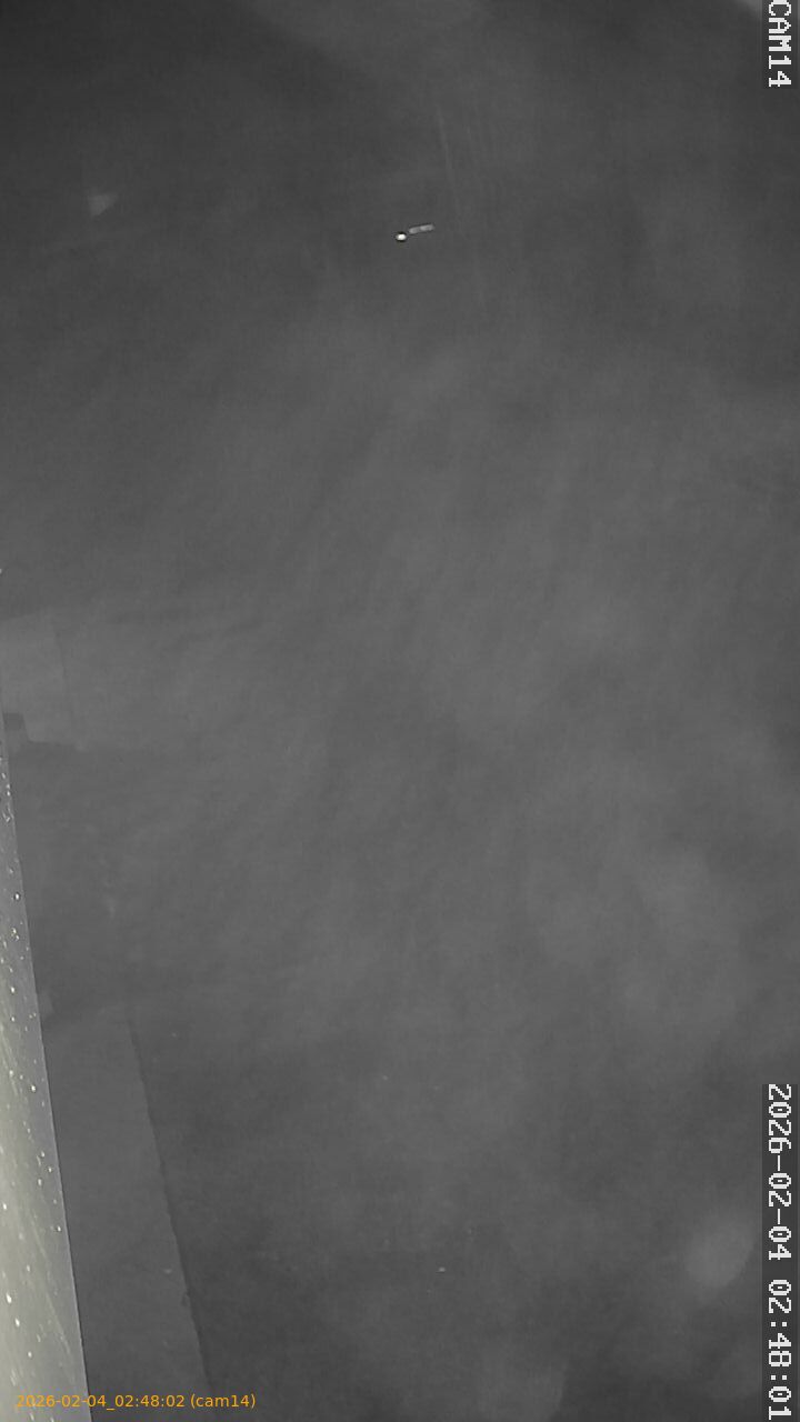 thumbnail_20260204024802