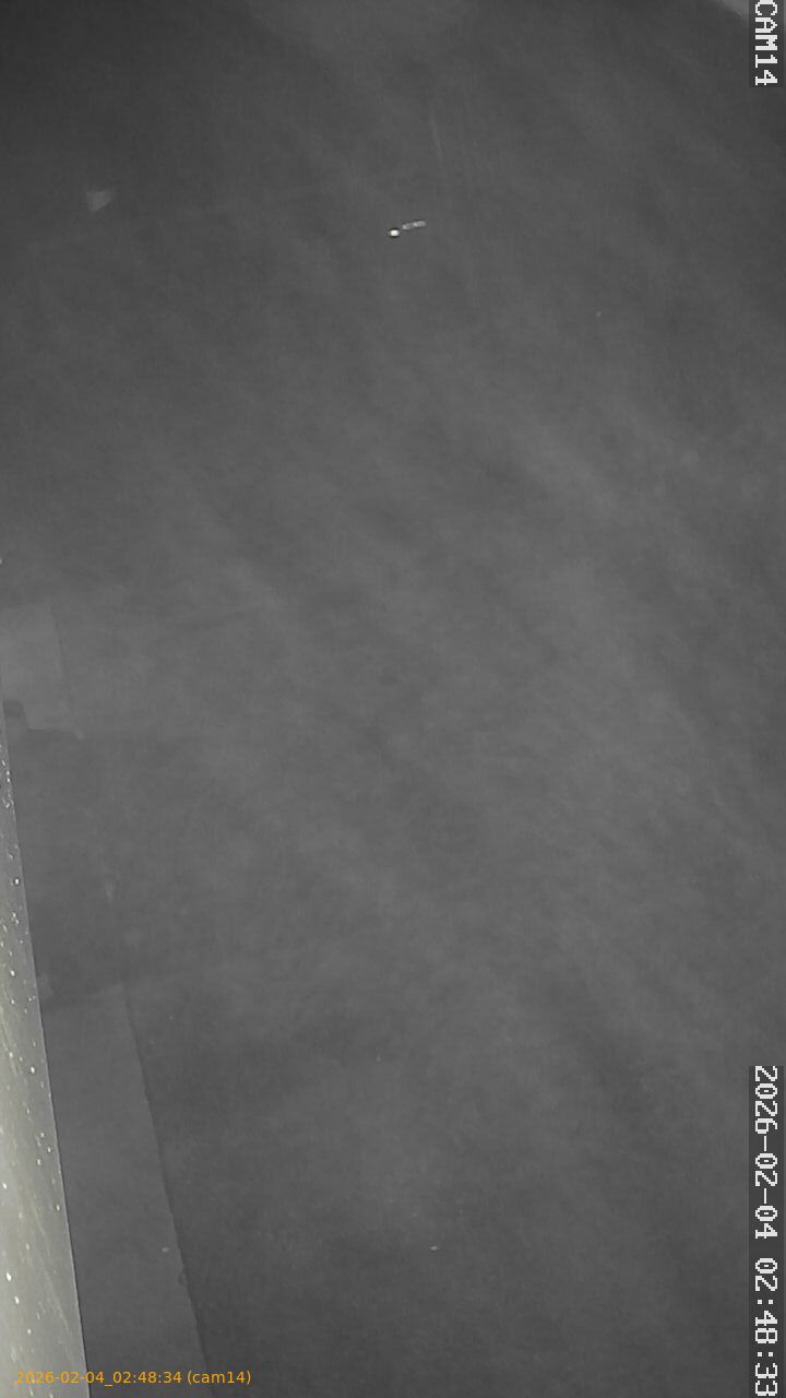 thumbnail_20260204024834