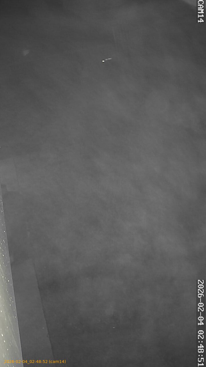 thumbnail_20260204024852