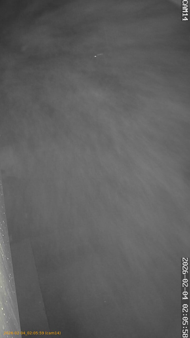 thumbnail_202602040205