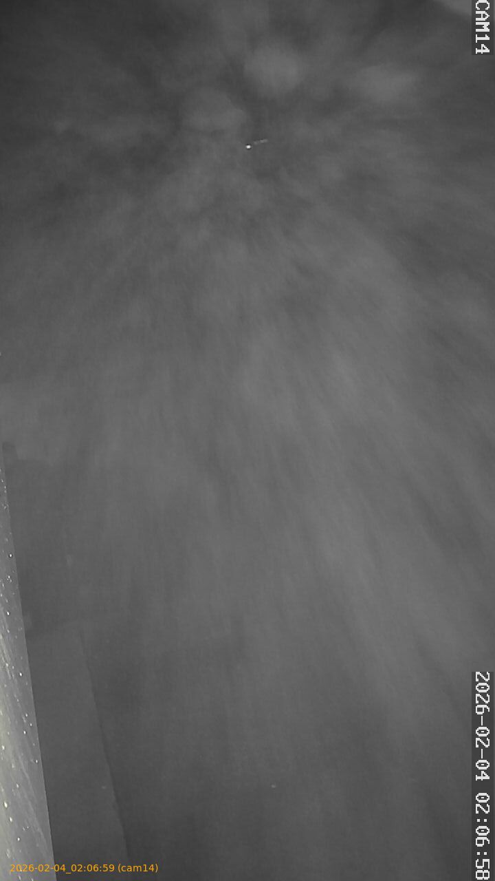 thumbnail_202602040206