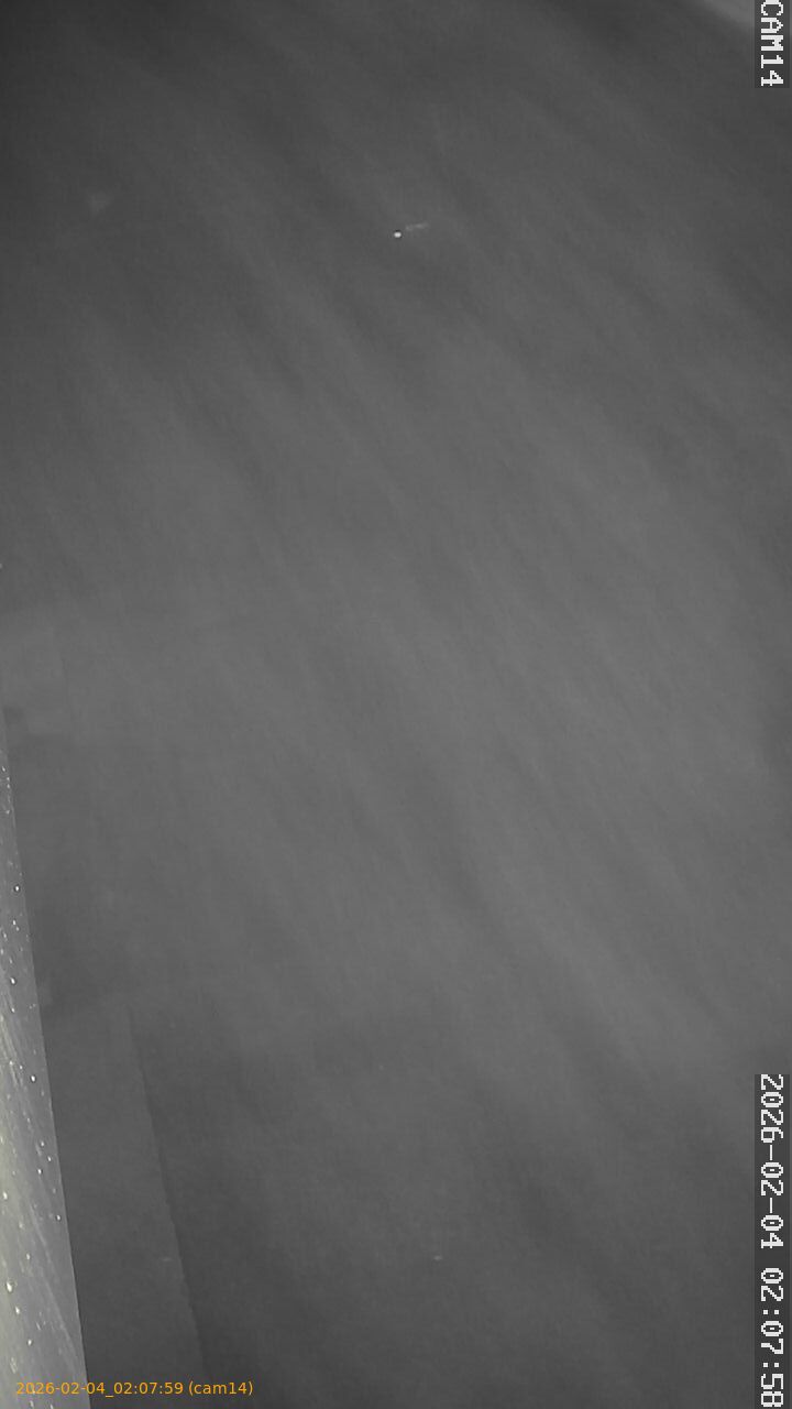 thumbnail_202602040207