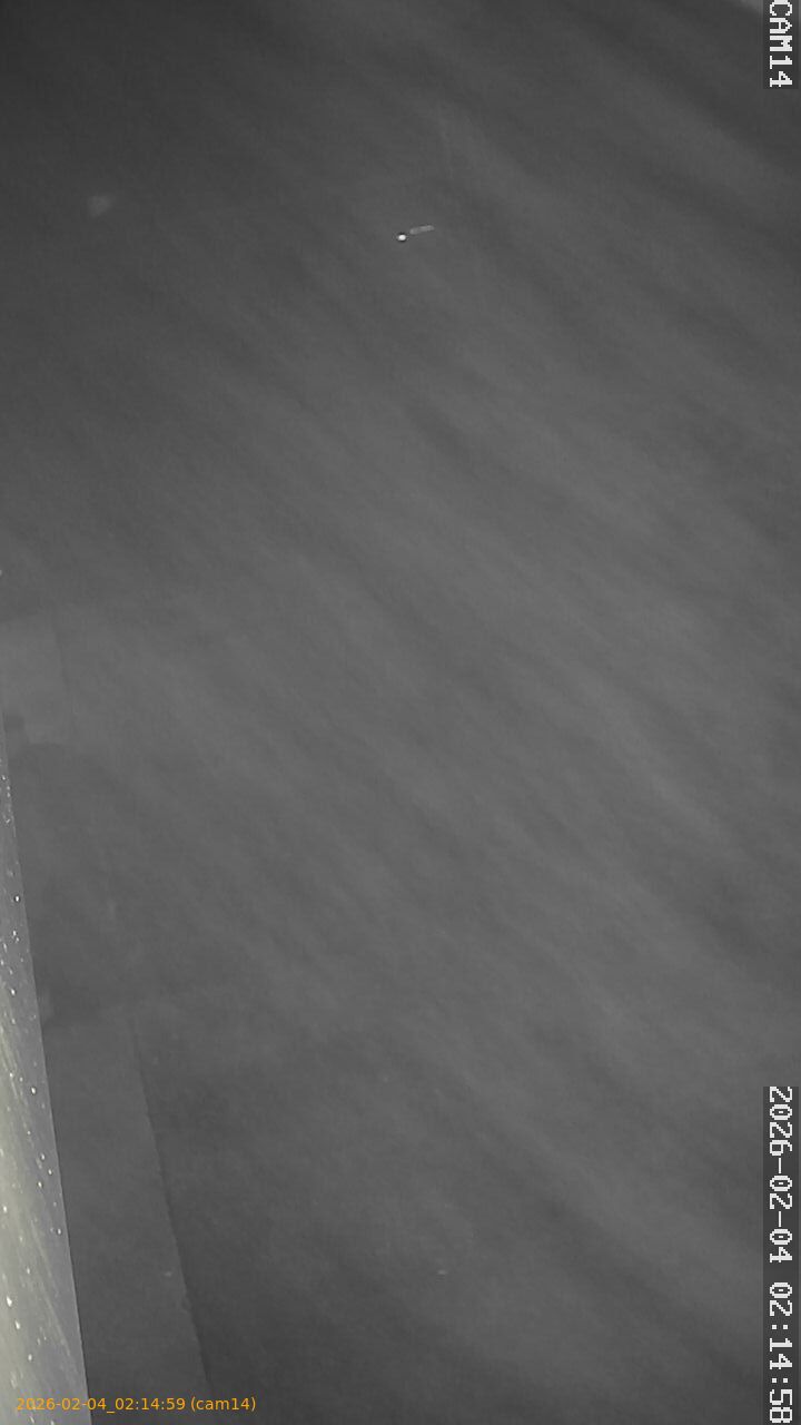 thumbnail_202602040214