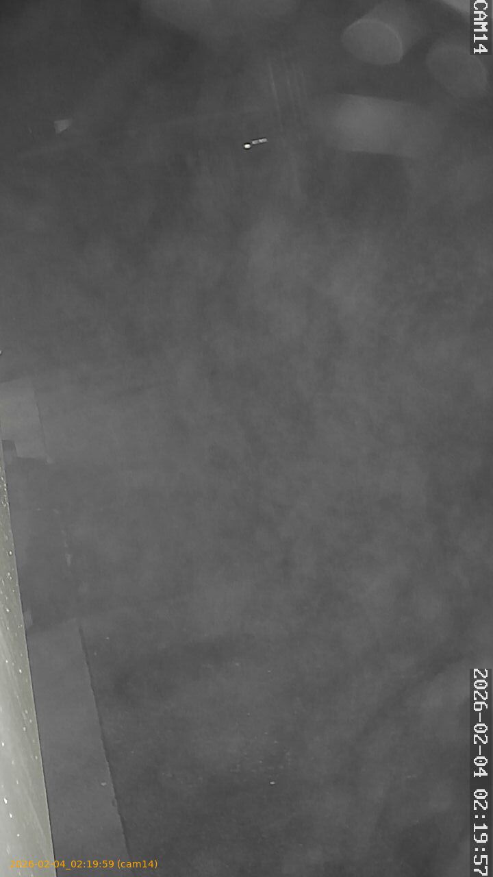 thumbnail_202602040219