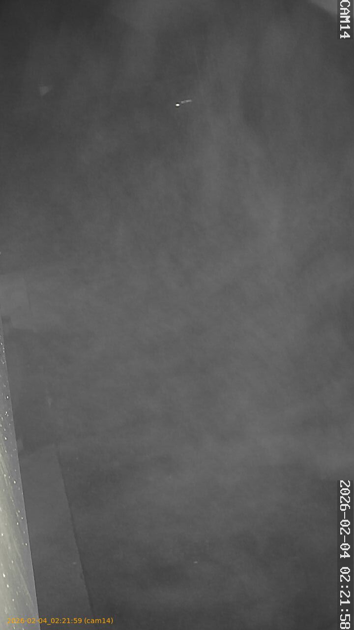 thumbnail_202602040221