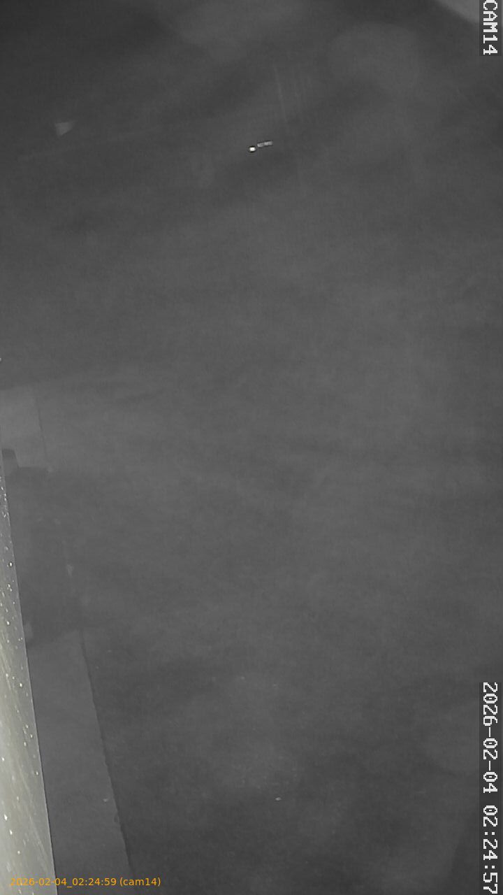 thumbnail_202602040224