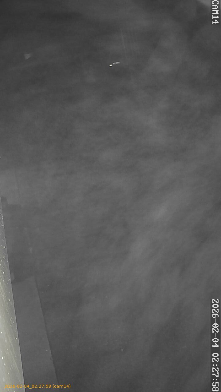 thumbnail_202602040227