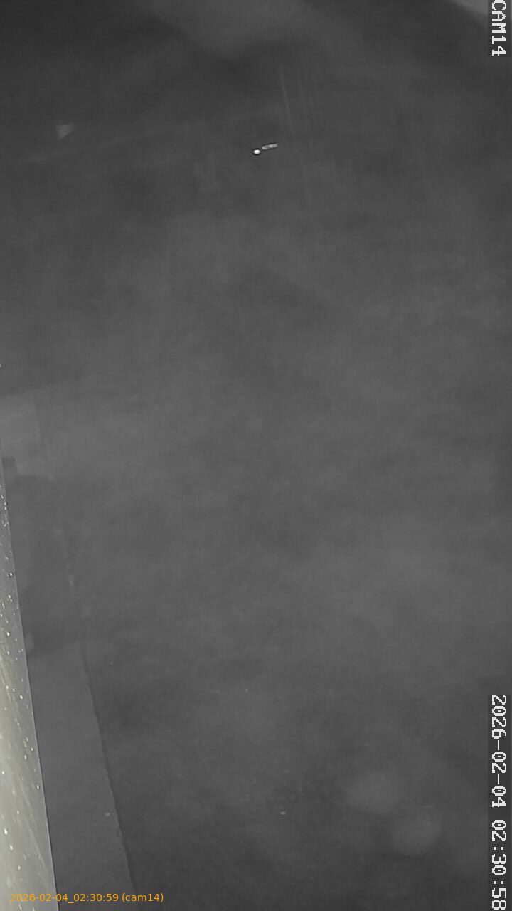 thumbnail_202602040230