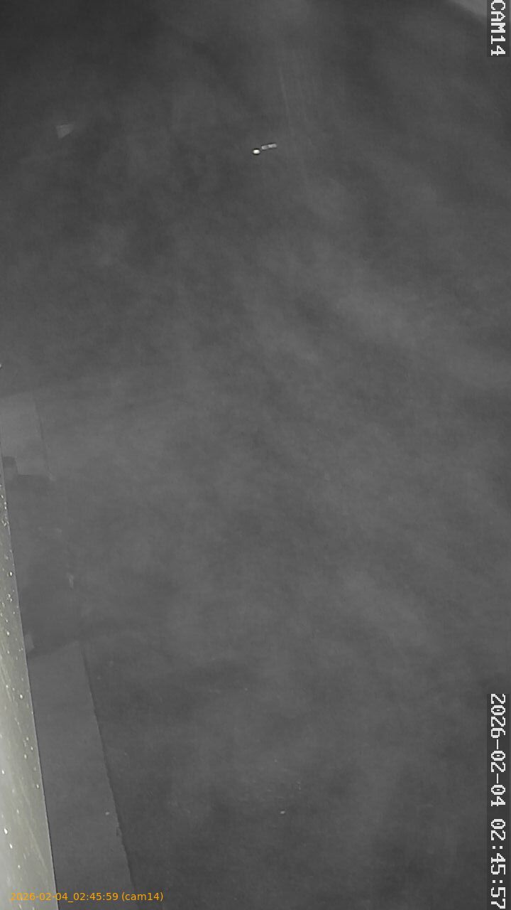 thumbnail_202602040245