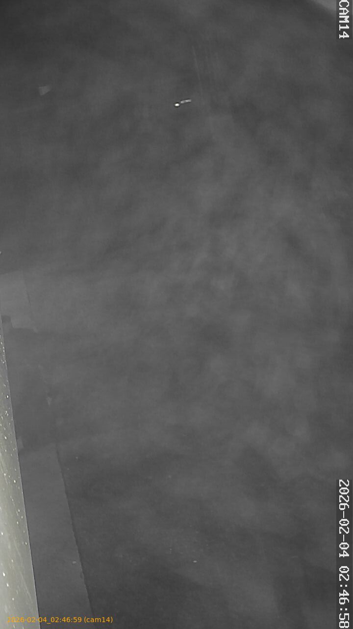 thumbnail_202602040246