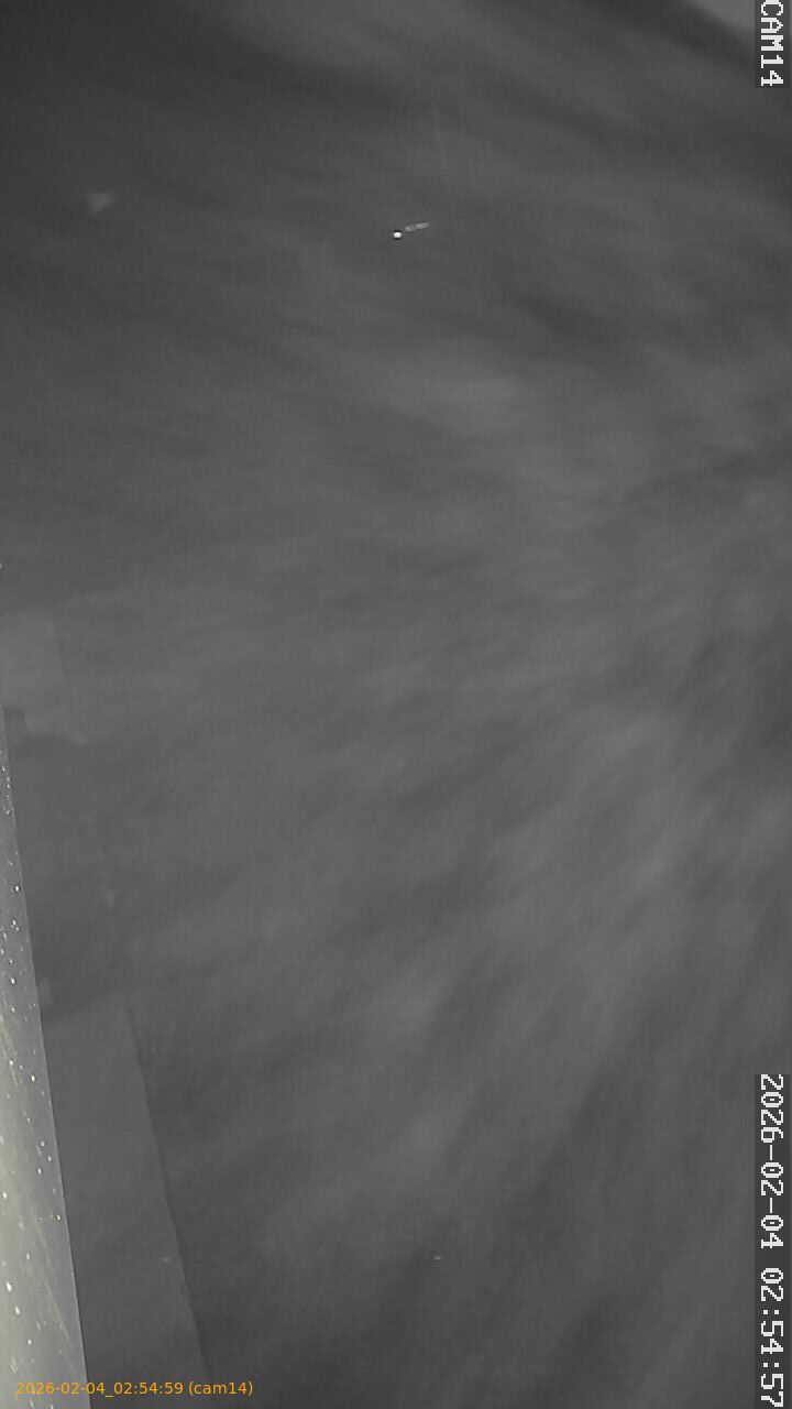 thumbnail_202602040254