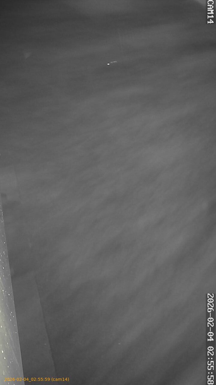 thumbnail_202602040255