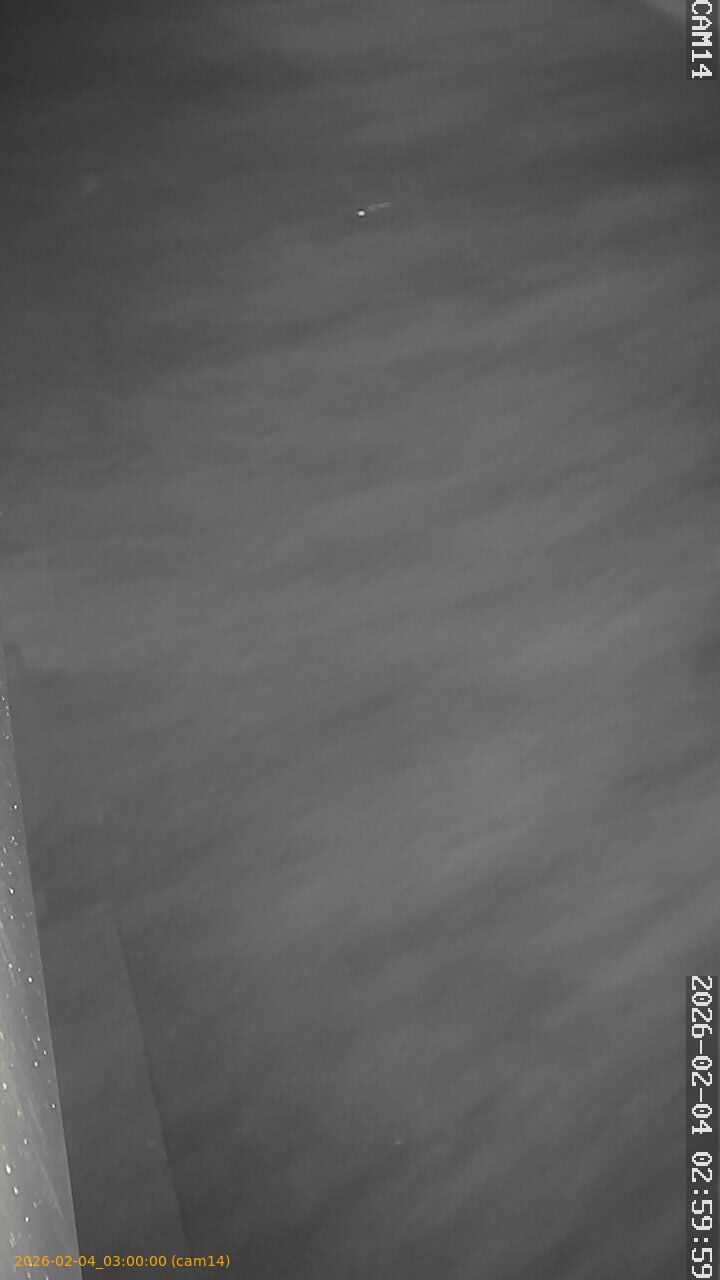 thumbnail_20260204030000