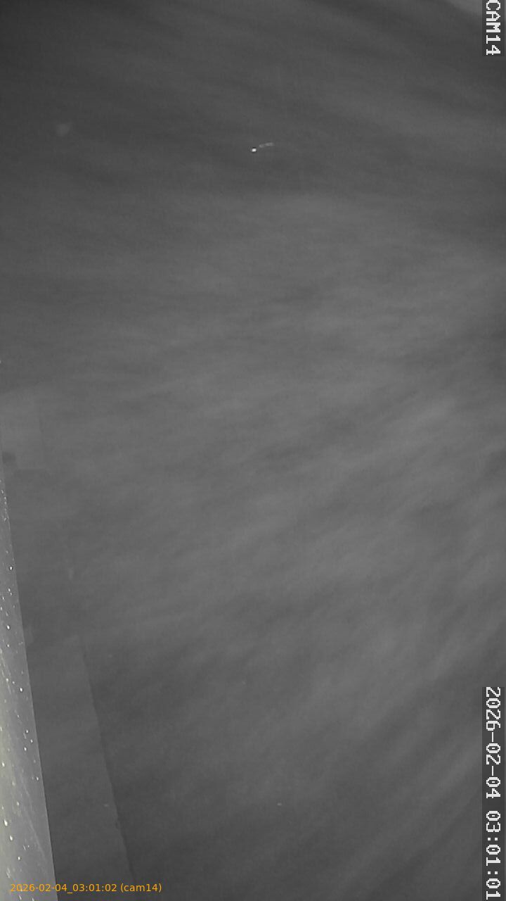 thumbnail_20260204030102