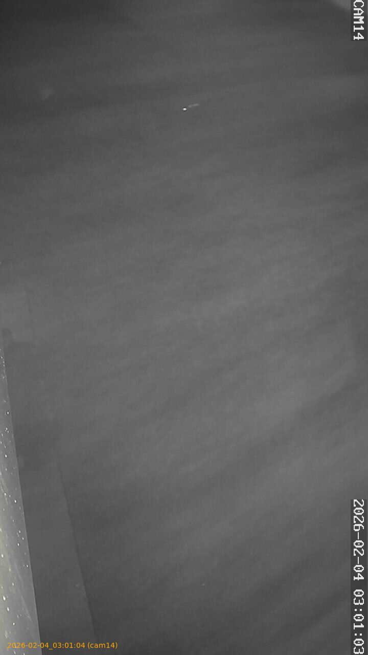 thumbnail_20260204030104