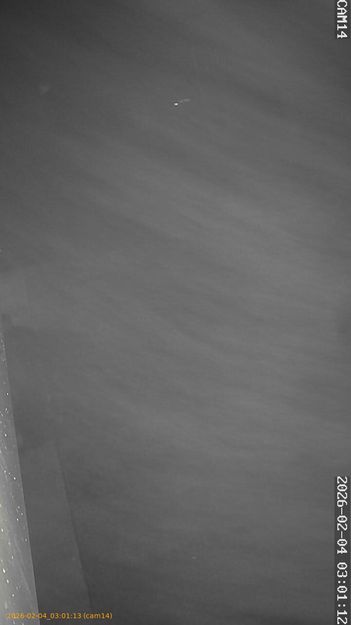 thumbnail_20260204030113