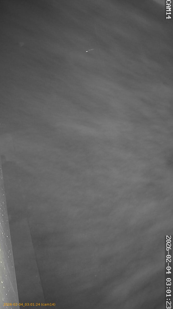 thumbnail_20260204030124