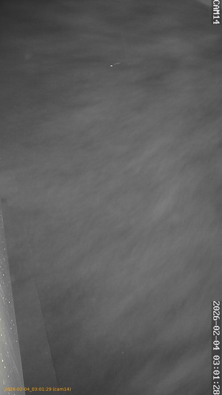 thumbnail_20260204030129