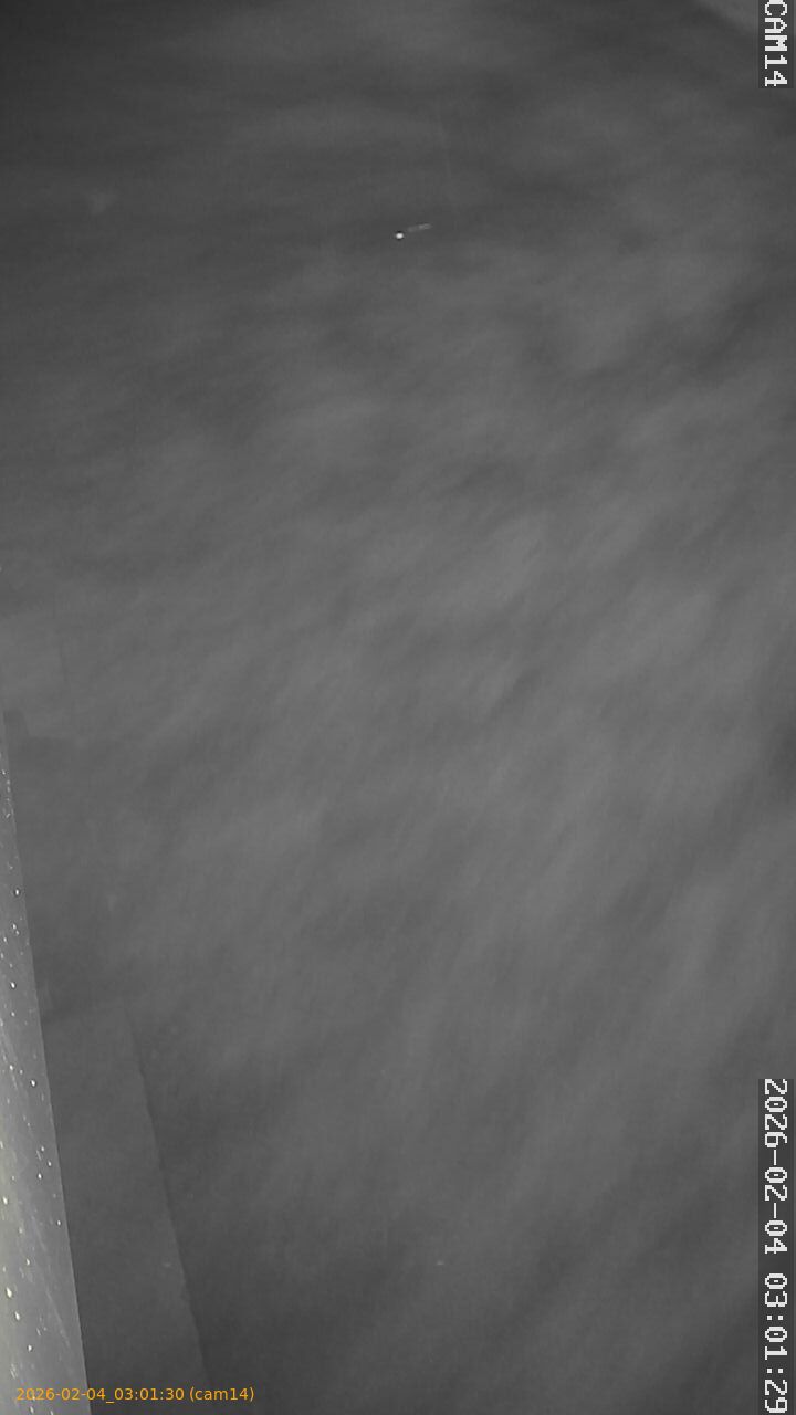 thumbnail_20260204030130