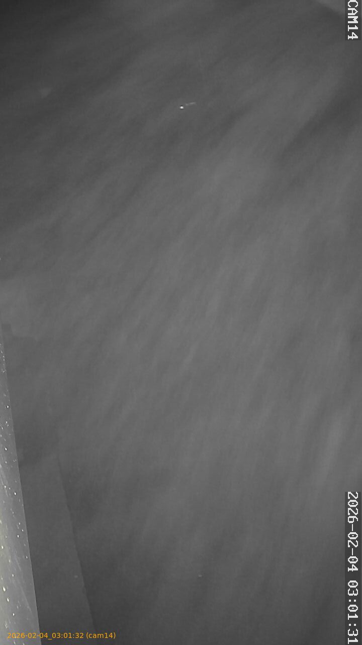 thumbnail_20260204030132