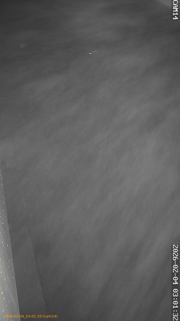 thumbnail_20260204030133