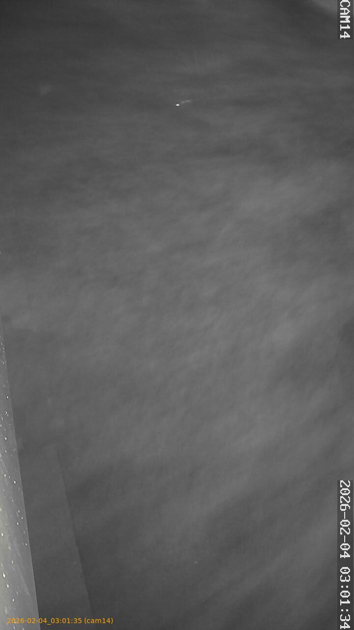 thumbnail_20260204030135