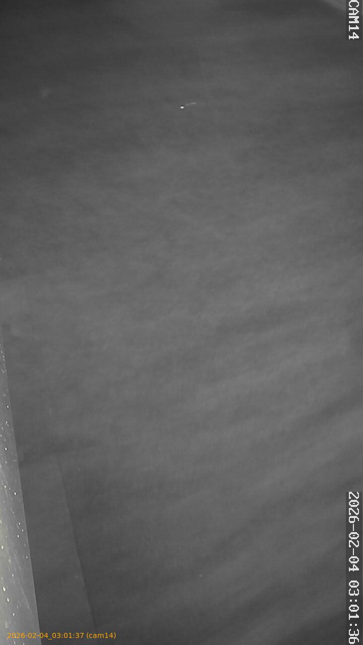 thumbnail_20260204030137