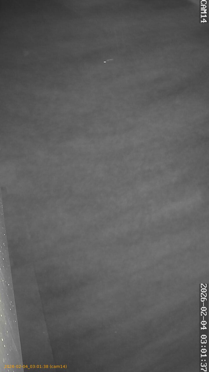 thumbnail_20260204030138