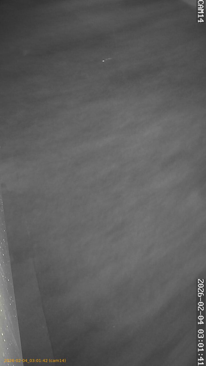 thumbnail_20260204030142