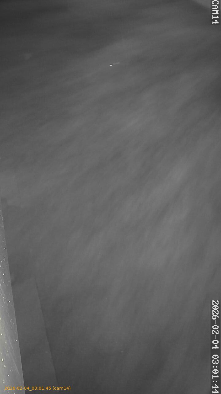 thumbnail_20260204030145