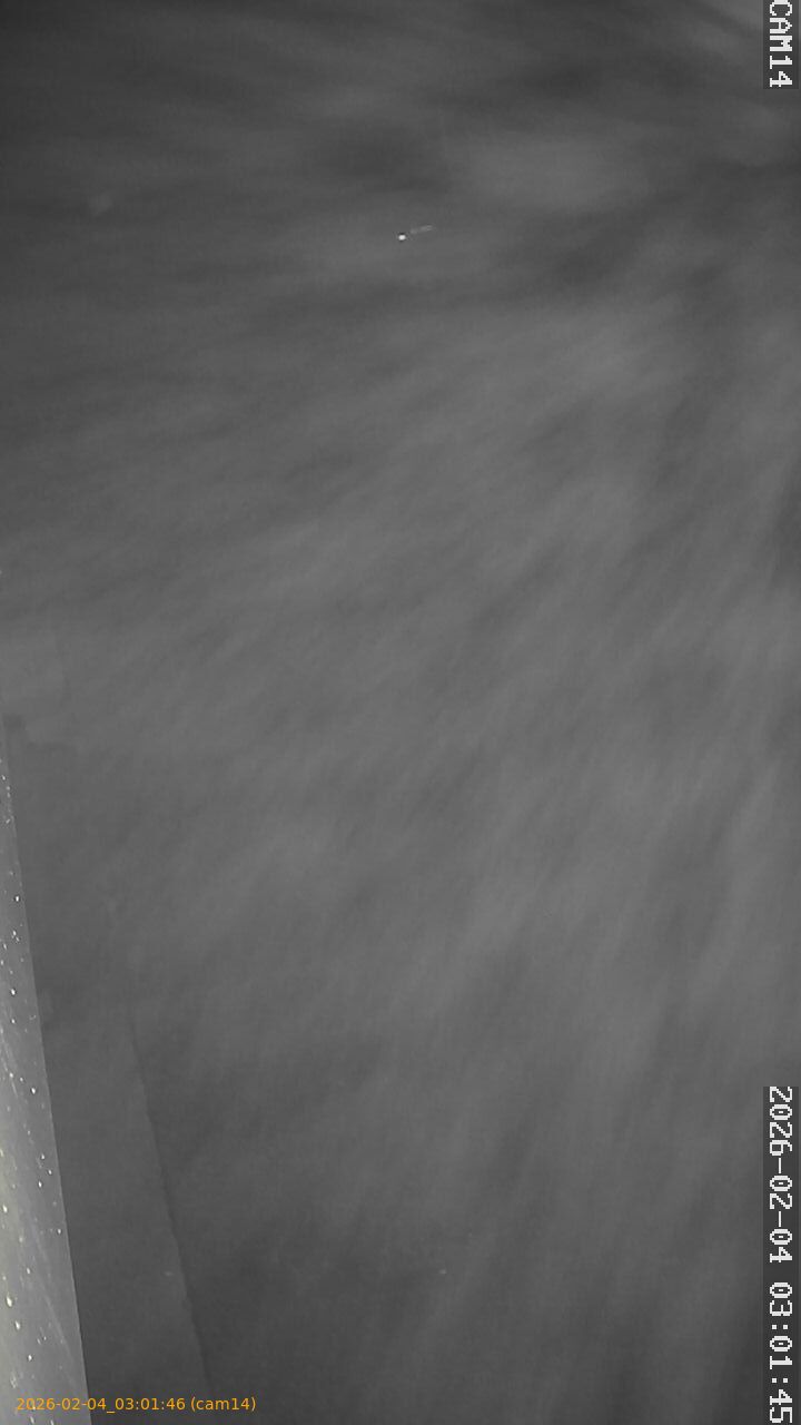 thumbnail_20260204030146