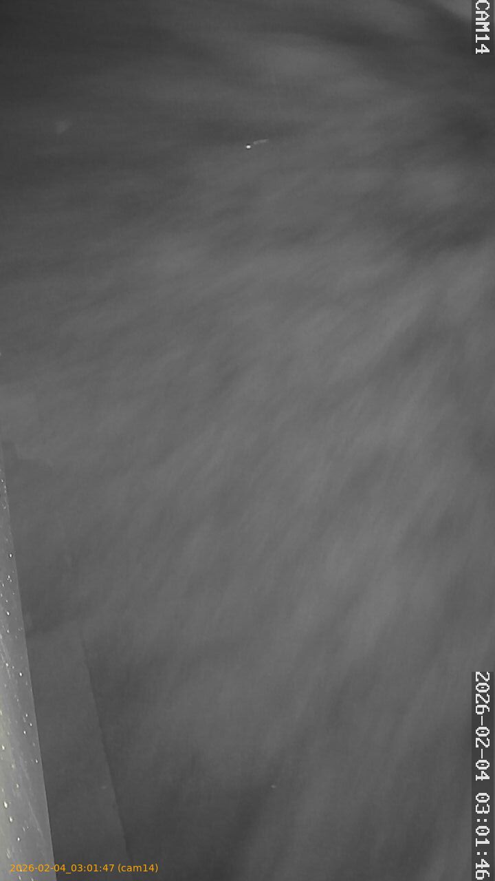 thumbnail_20260204030147