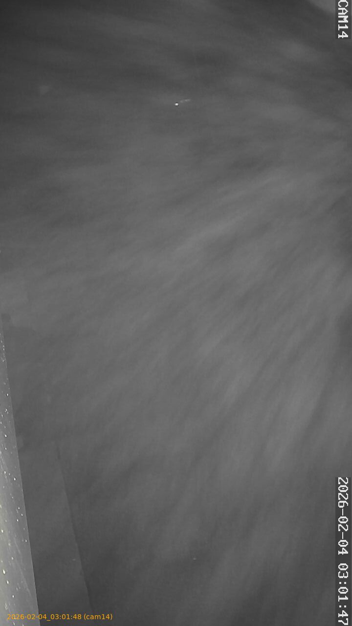 thumbnail_20260204030148